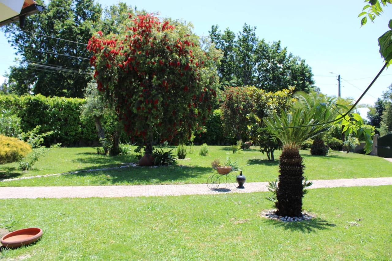 The Oak'S Wolf-Country House Фафі Екстер'єр фото